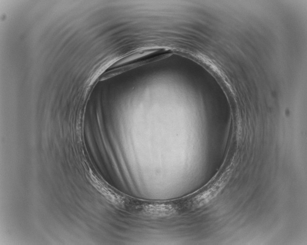 X0000059091137200510211600