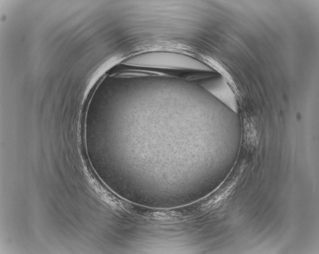 X0000059091138200510211600