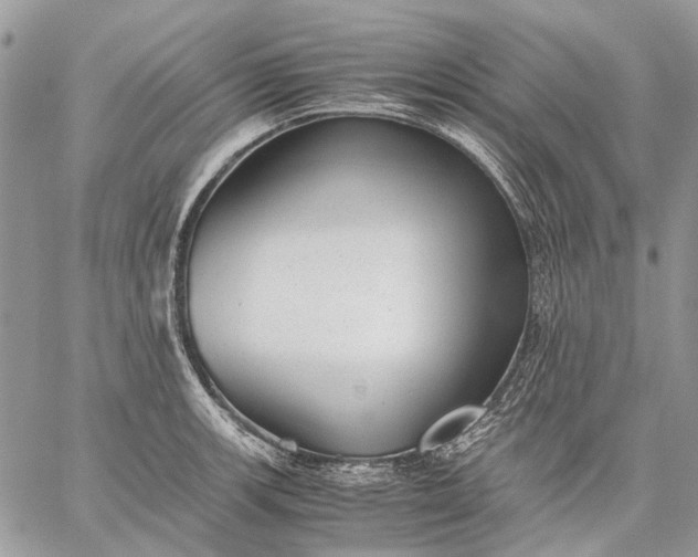 X0000059091139200510211600