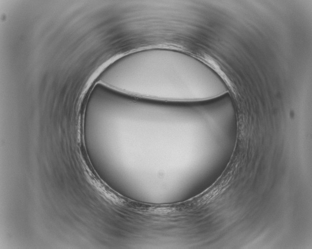 X0000059091140200510211600