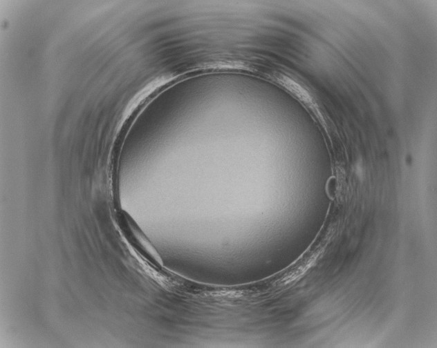 X0000059091141200510211600