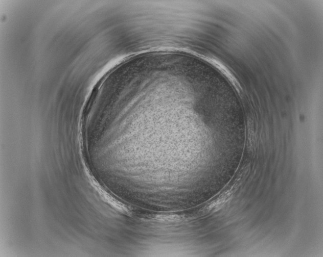 X0000059091142200510211600