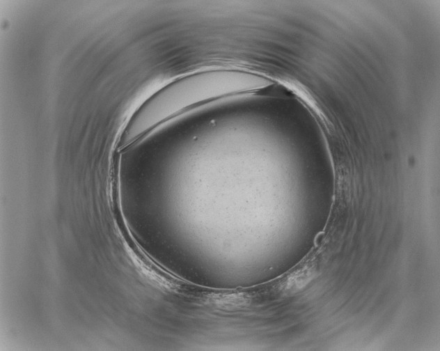 X0000059091143200510211600