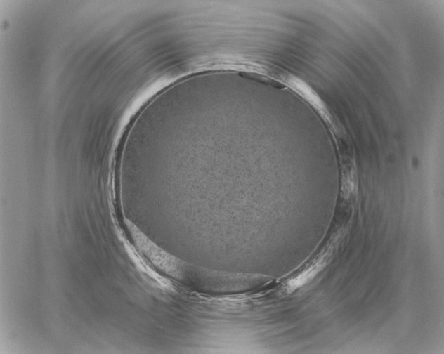 X0000059091144200510211600