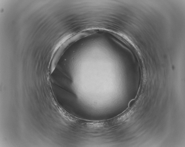 X0000059091145200510211600