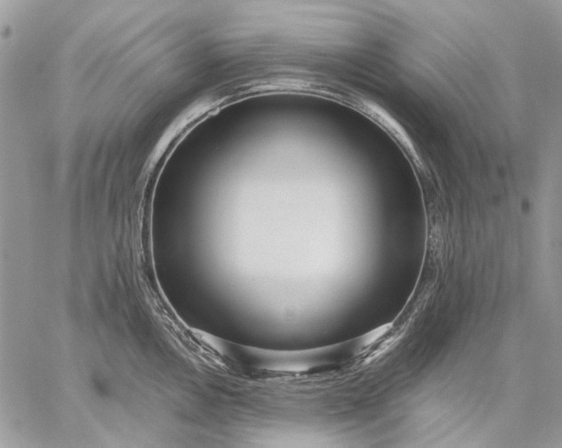 X0000059091146200510211600