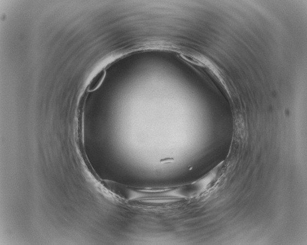 X0000059091147200510211600