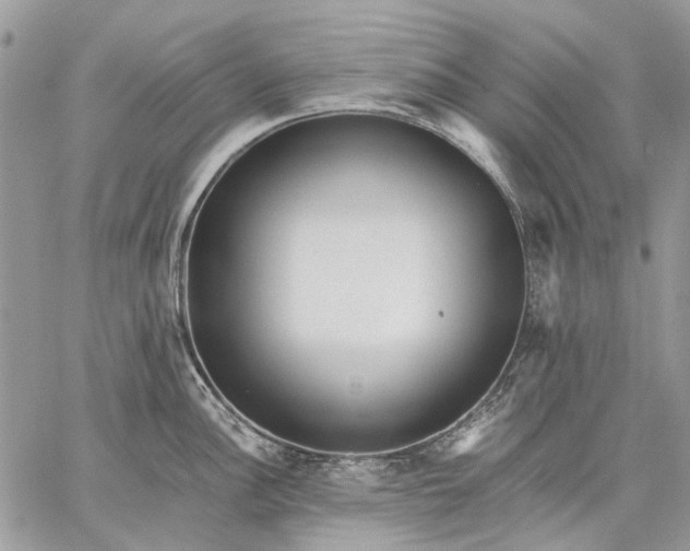 X0000059091148200510211600