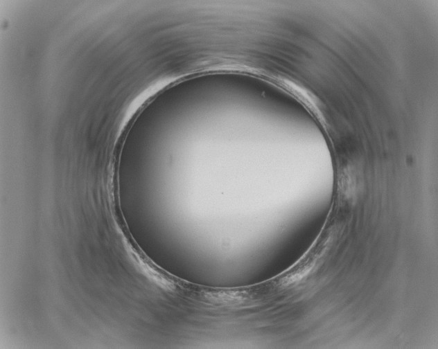 X0000059091149200510211600