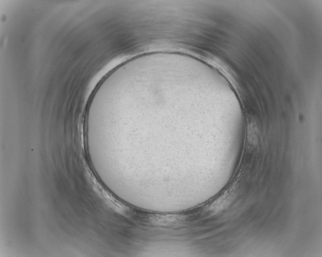 X0000059091150200510211600