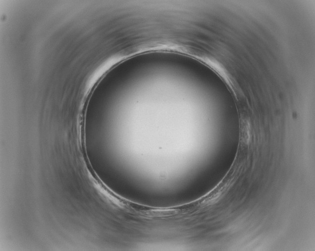 X0000059091151200510211600