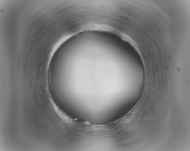 X0000059091152200510211600