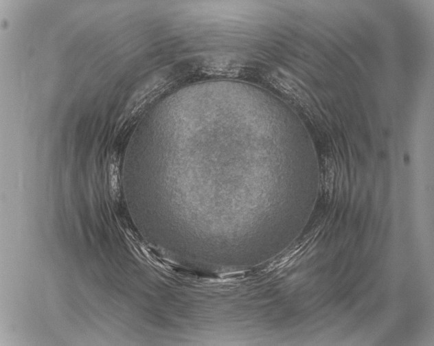 X0000059091154200510211600