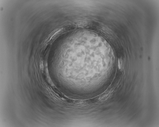 X0000059091155200510211600