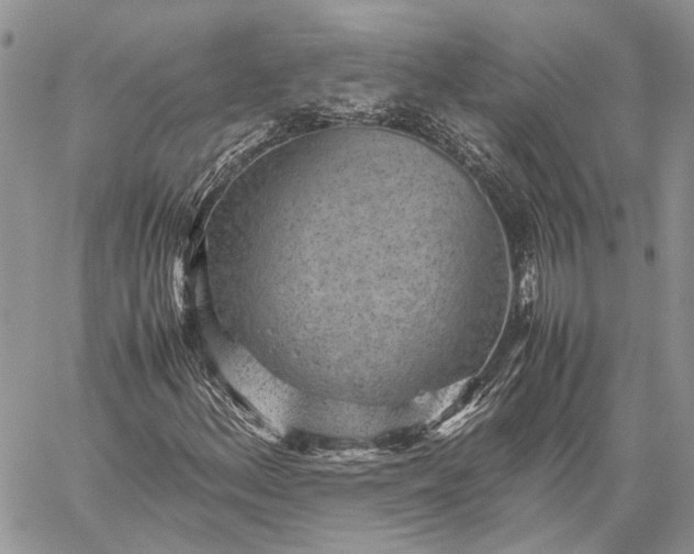 X0000059091156200510211600