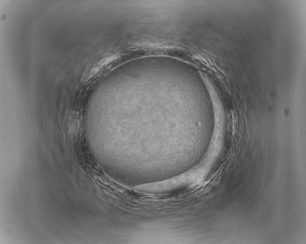 X0000059091157200510211600