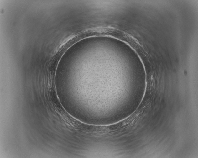 X0000059091158200510211600