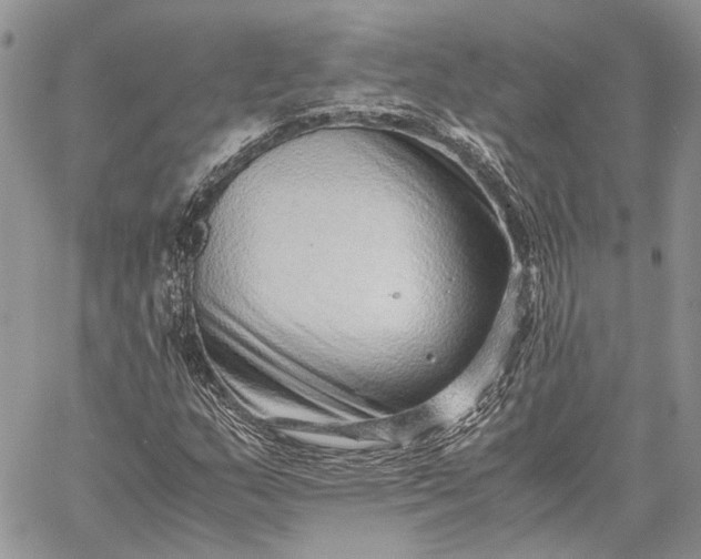 X0000059091159200510211600