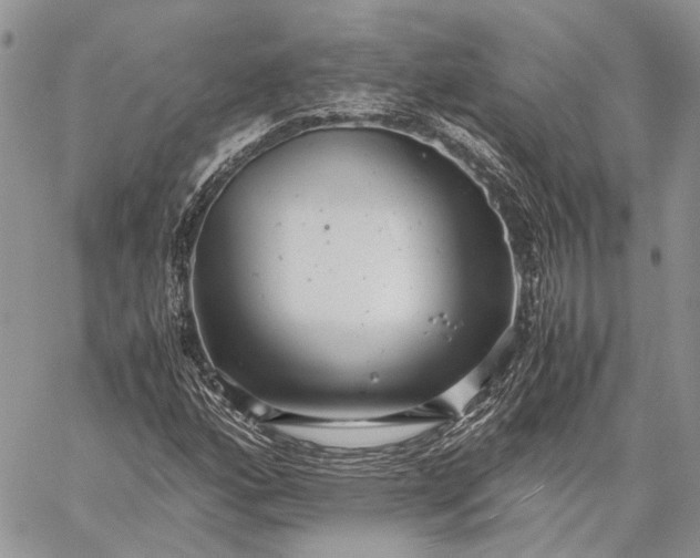 X0000059091160200510211600