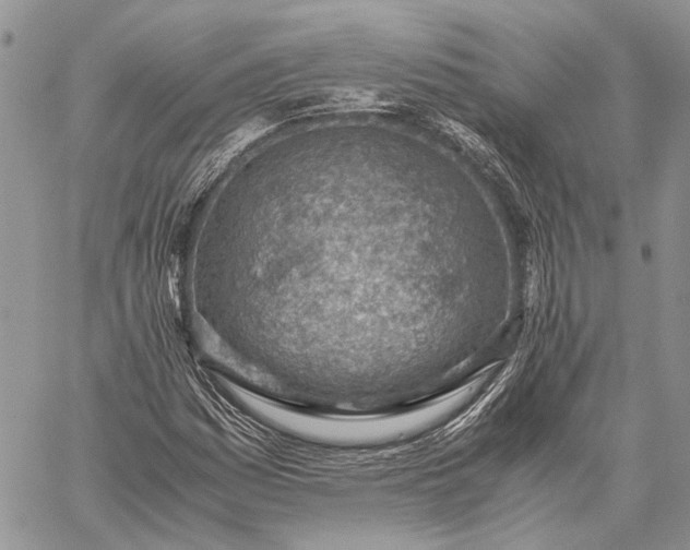 X0000059091161200510211600