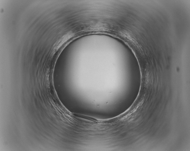 X0000059091162200510211600