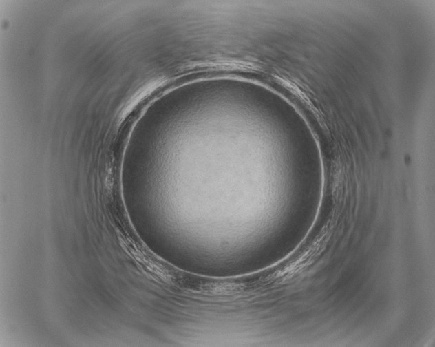 X0000059091163200510211600