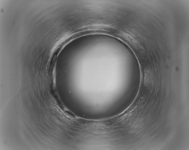 X0000059091164200510211600