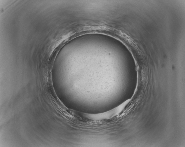 X0000059091165200510211559