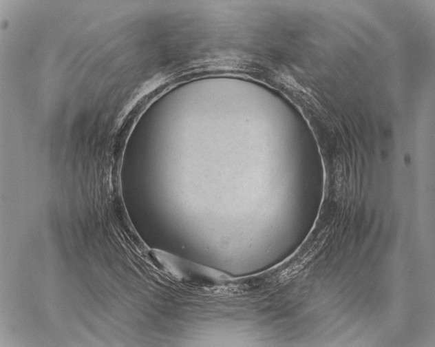 X0000059091166200510211559