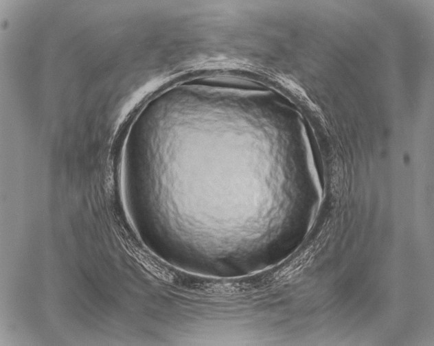 X0000059091167200510211559