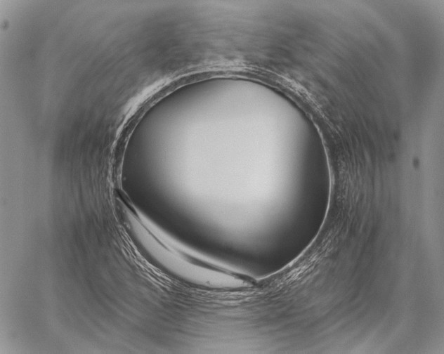 X0000059091168200510211559