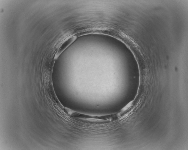 X0000059091169200510211559