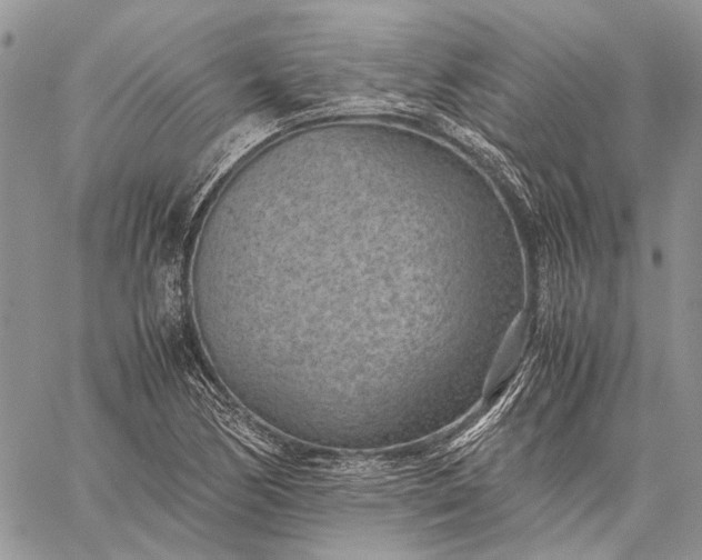 X0000059091170200510211559