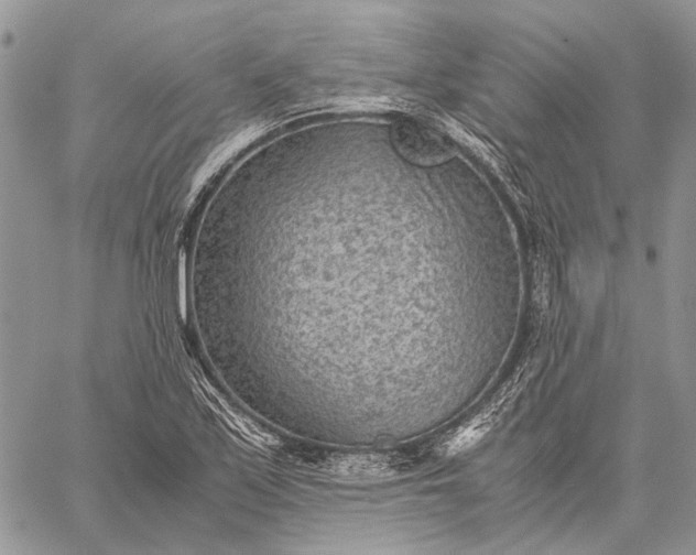 X0000059091171200510211559