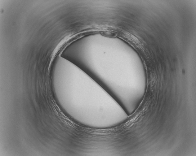 X0000059091172200510211559