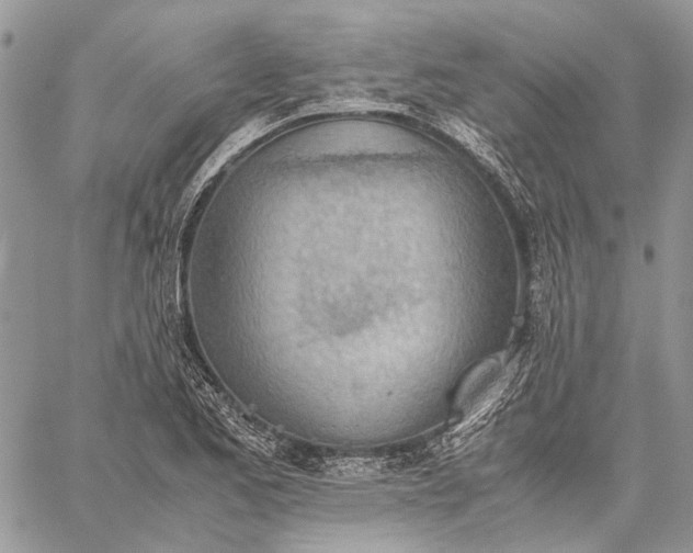 X0000059091173200510211559