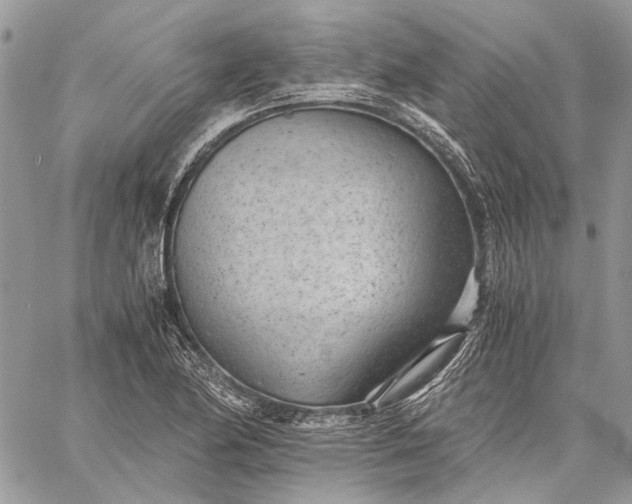 X0000059091174200510211559