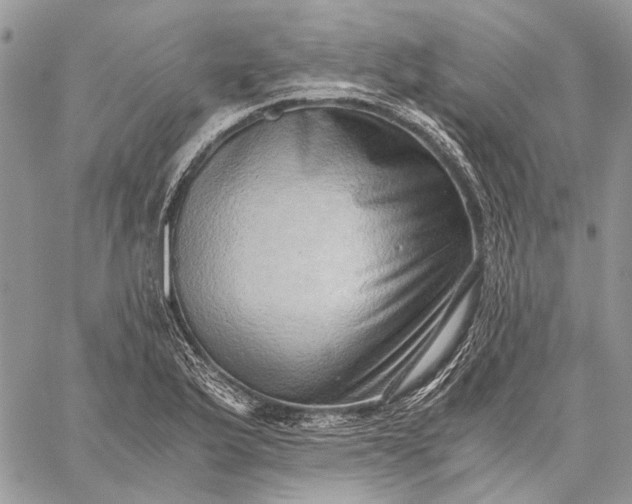 X0000059091175200510211559