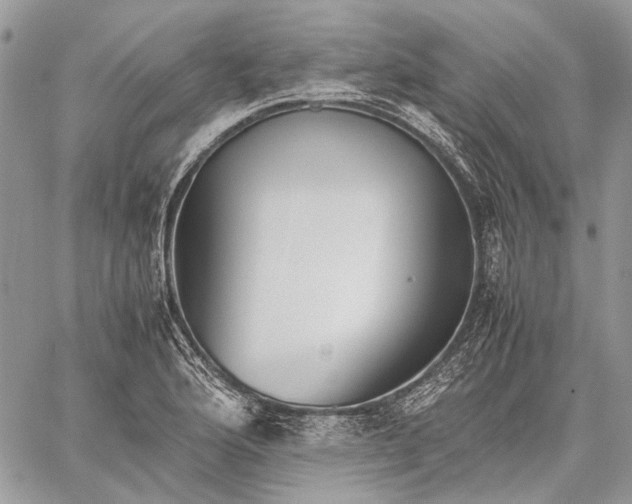 X0000059091176200510211559