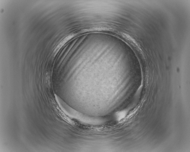 X0000059091177200510211559