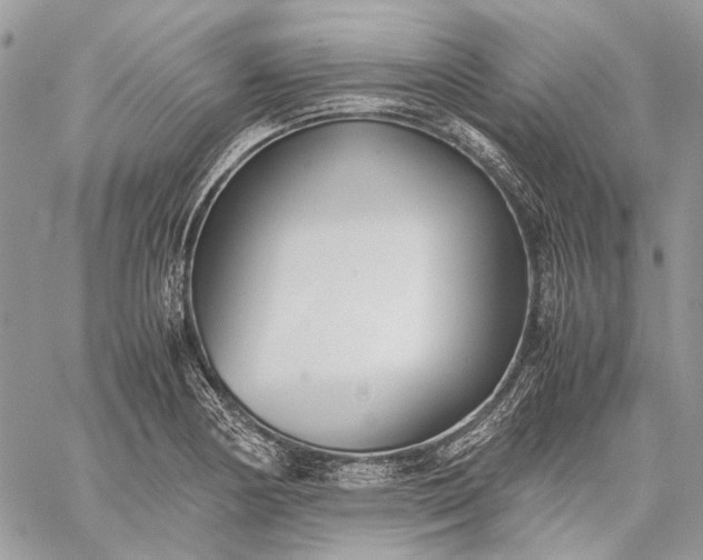 X0000059091178200510211559