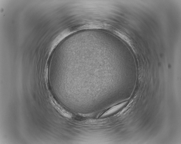 X0000059091179200510211559