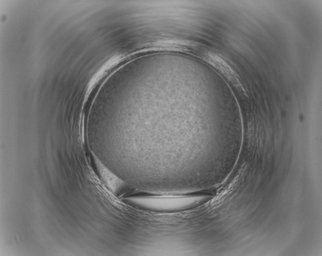 X0000059091180200510211559