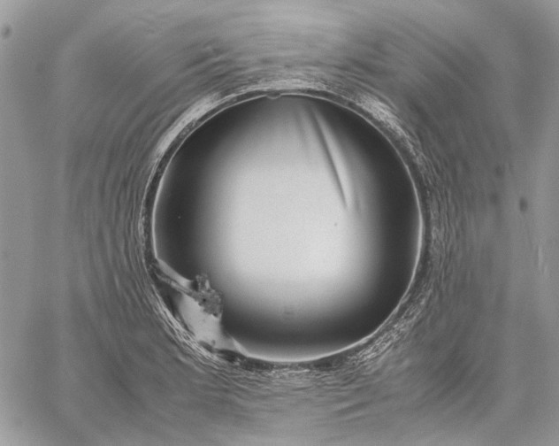 X0000059091181200510211559