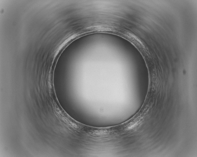 X0000059091182200510211559