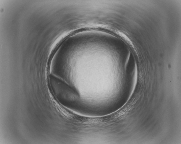 X0000059091183200510211559