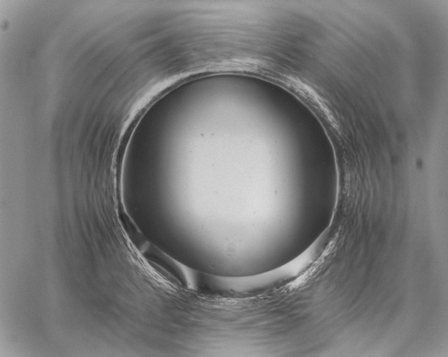 X0000059091184200510211559