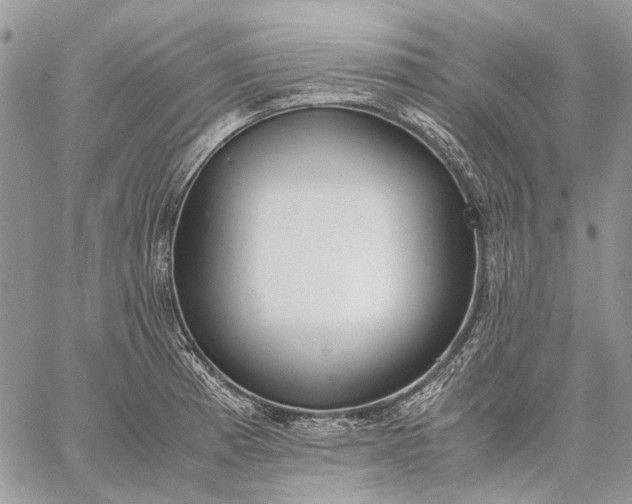 X0000059091185200510211559