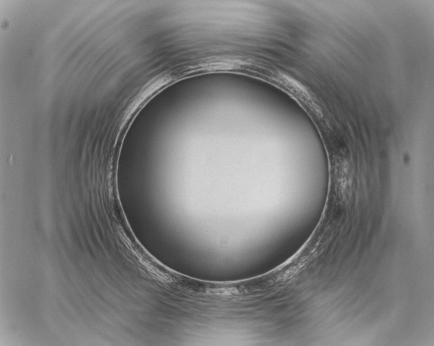 X0000059091186200510211559