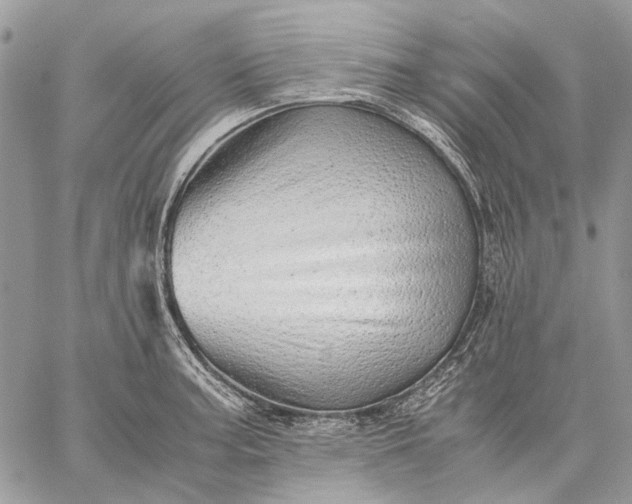 X0000059091187200510211559